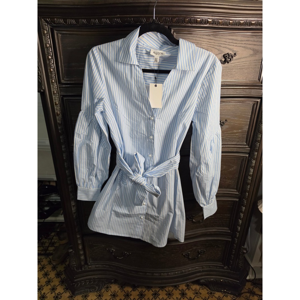 Allison New York Blue White Striped Pearl Button Shirt Dress NWT XS